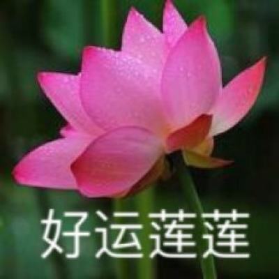 中国·邱县第四届文冠果花节盛大开幕